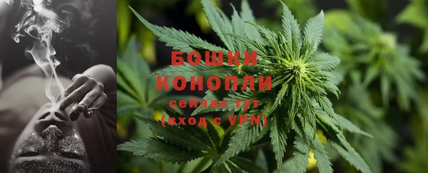 дмт Козловка
