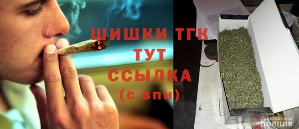 дмт Козловка