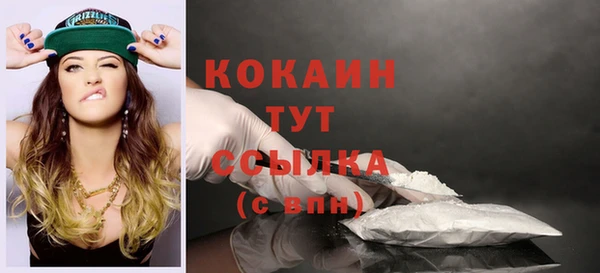 индика Кодинск