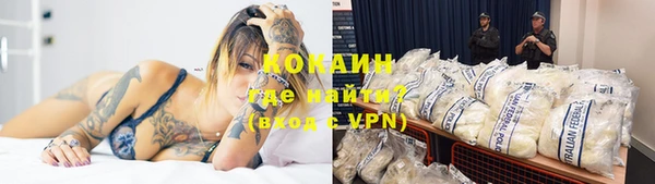 индика Кодинск
