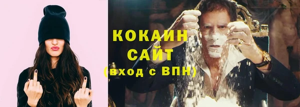 индика Кодинск