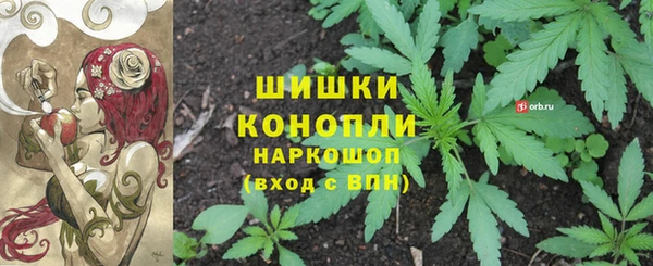 кокс Козельск