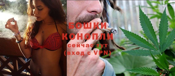 индика Кодинск