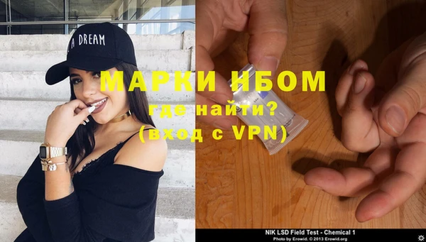 индика Кодинск