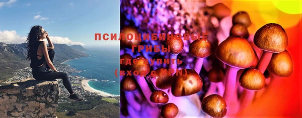 индика Кодинск
