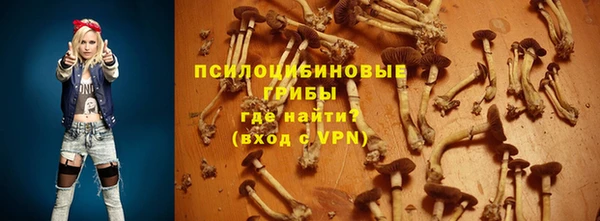 индика Кодинск
